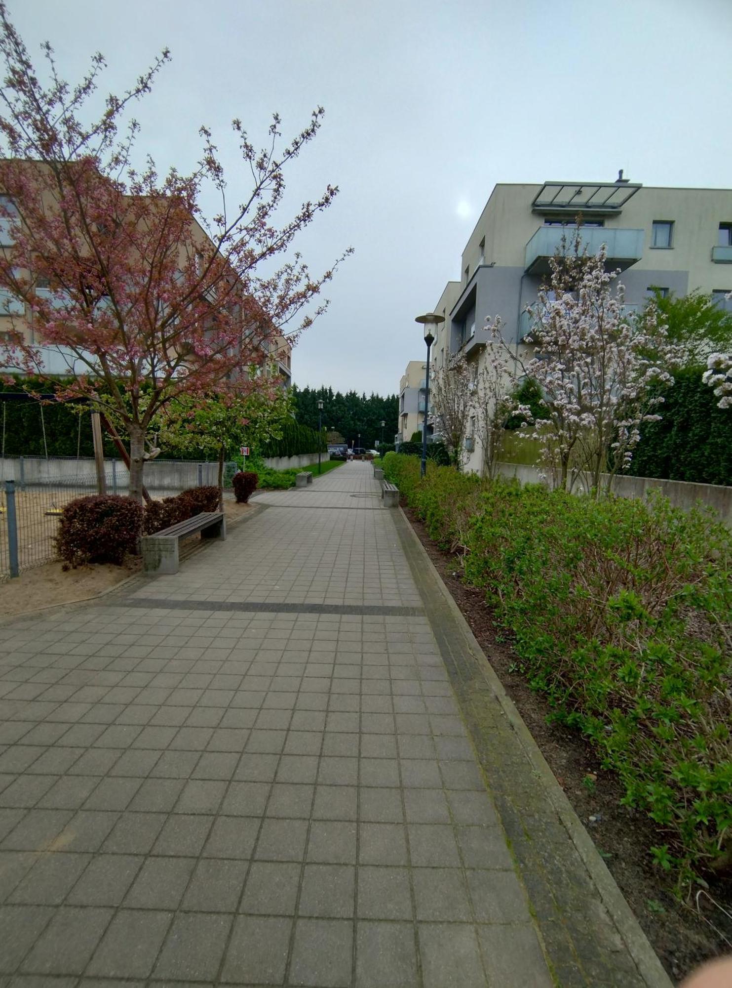 Apartament 1E Barbakan Szczecin Exterior photo